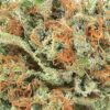 Jack The Ripper Sativa Strain