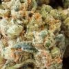 Vanilla Kush Indica Strain